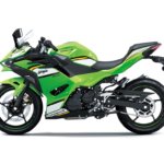 batch_Kawasaki Ninja 500 SE_2