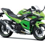 batch_Kawasaki Ninja 500 SE_3